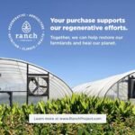 Ancient Nutrition Collagen Capsules - Image 2