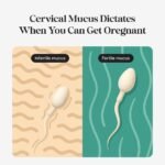 Kegg Fertility Tracker - Image 3