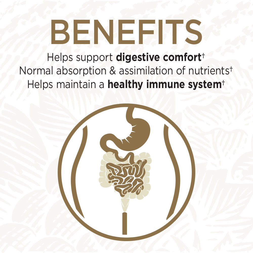 Version 1.0.0 Garden of Life Probiotics - Image 4