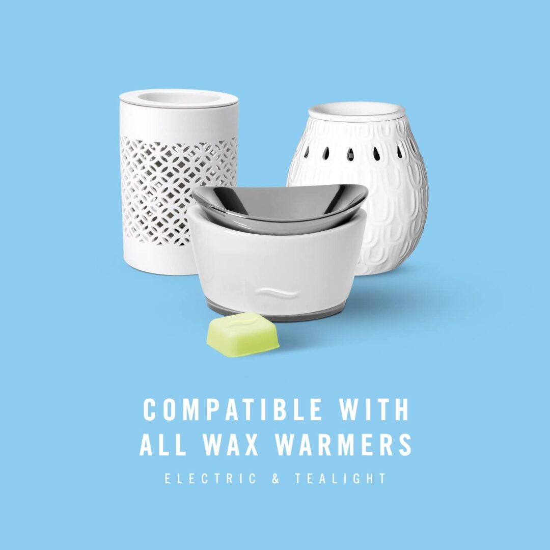 Version 1.0.0 Febreze Gain Wax Melts - Image 4