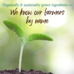 Organic Green Superfood Chocolate Powder - Image 6