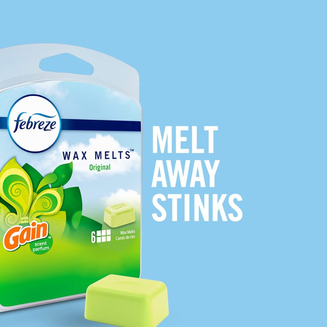 Version 1.0.0 Febreze Gain Wax Melts - Image 2