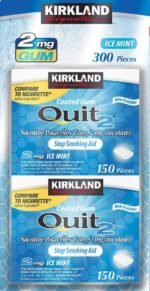 Kirkland Ice Mint Gum