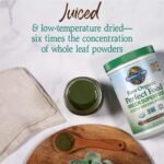 Organic Green Superfood Chocolate Powder - Image 3