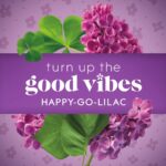Glade Air Freshener Happy-Go-Lilac - Image 3