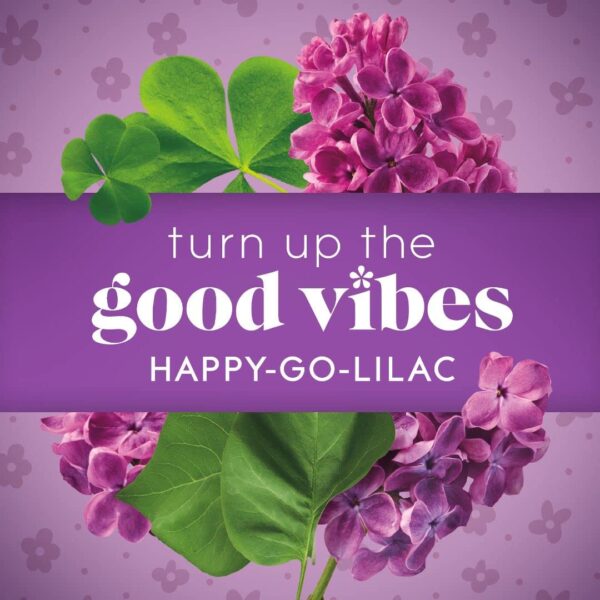 Glade Air Freshener Happy-Go-Lilac - Image 3