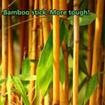 Precision Cotton Swabs Set - Image 5