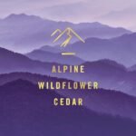 Febreze Plug Air Freshener - Image 4