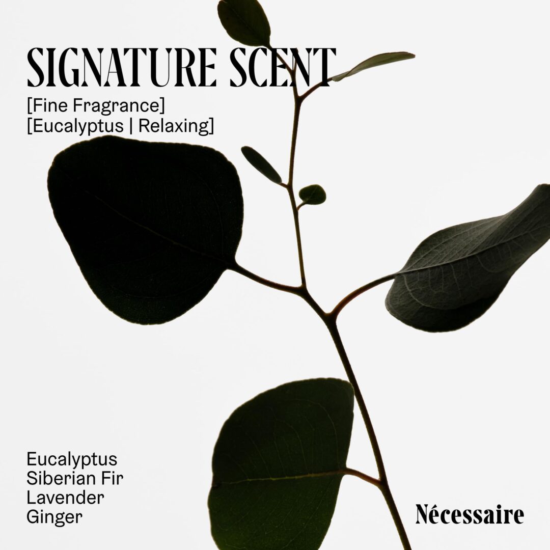 Version 1.0.0 Nécessaire Deodorant Gel Eucalyptus - Image 4