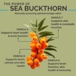 Organic Sea Buckthorn Oil Softgels - Image 3
