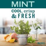 Mrs. Meyer's Room Freshener Trio - Image 8