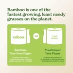 Caboo Bamboo Paper Towels - Image 6