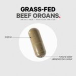 Codeage Grass-Fed Beef Organ Supplement - Image 8
