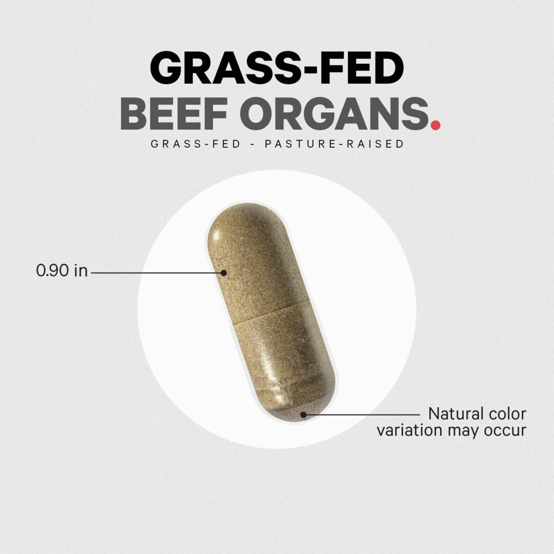 Version 1.0.0 Codeage Grass-Fed Beef Organ Supplement - Image 8