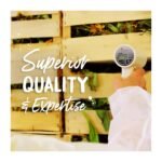 Boiron Homeopathic Nerve Pain Relief - Image 5