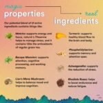 Magic Mind Focus Energy Shots - Image 5