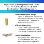 Iron Repair Natural Iron Supplement - Image 5