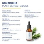 Routine Wellness Hair Serum - Image 2