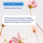 ATTITUDE Laundry Detergent Refill - Image 5