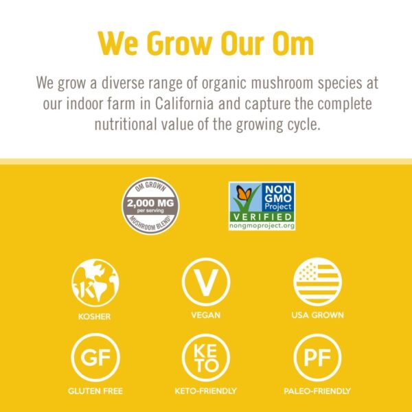 OM Lion's Mane Mushroom Capsules - Image 7