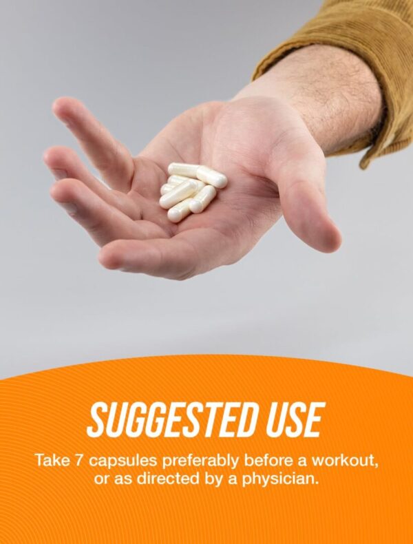 BulkSupplements Micronized Creatine Capsules - Image 4