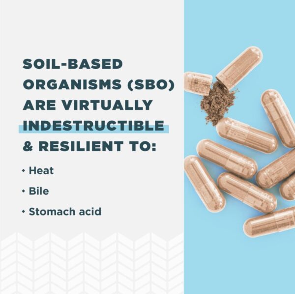 Women's Daily Probiotics - Image 6