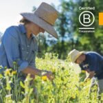 Herb Pharm Sleep Formula - Image 8