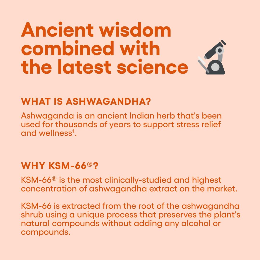 Version 1.0.0 KSM-66 Ashwagandha Capsules - Image 5