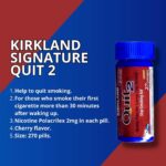 Kirkland Quit Smoking Lozenges - Image 2