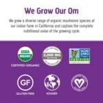 OM Mushroom Superfood Hot Chocolate Mix - Image 4