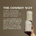 Cowboy Colostrum Powder - Image 7