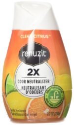Renuzit Citrus Air Freshener