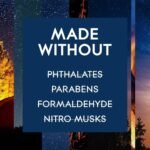 Glade Fall Night Long Spray - Image 5