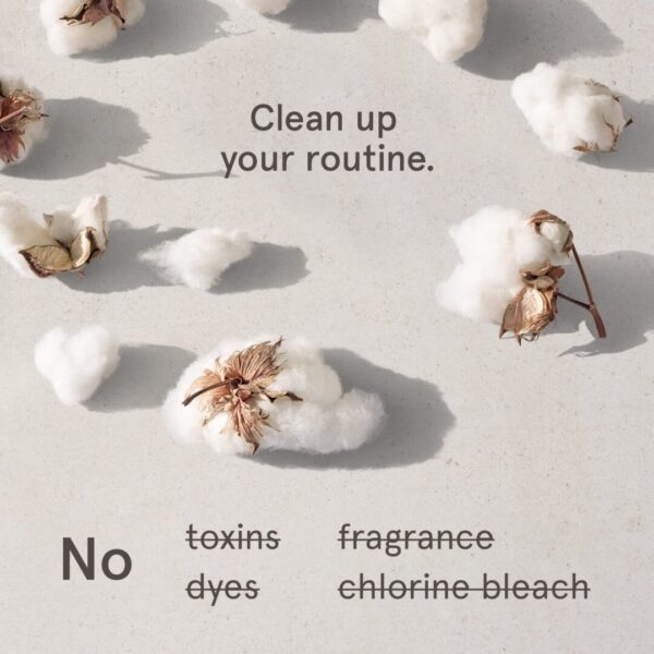LOLA Organic Tampons - Image 4