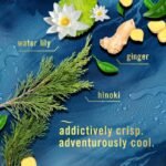 Febreze Plug Air Freshener - Image 5