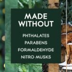 Glade Pine & Cedar PlugIns - Image 5