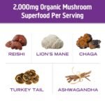 OM Mushroom Superfood Hot Chocolate Mix - Image 6