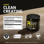 Ascent Clean Creatine Monohydrate - Image 5