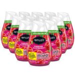 Renuzit Raspberry Gel Air Freshener