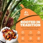 Batana Hair Growth Oil - Image 9