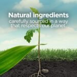 Air Wick Botanica Scented Oil Refill - Image 4