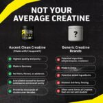 Ascent Clean Creatine Monohydrate - Image 3